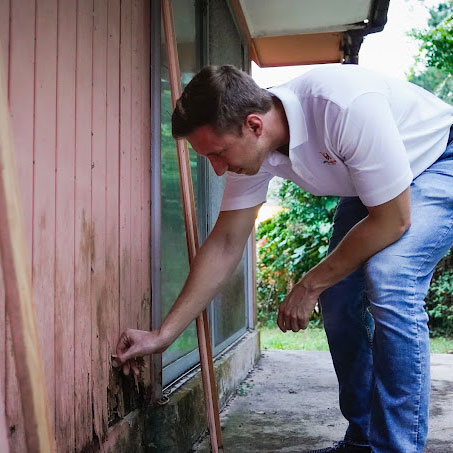 House With Termite Damage